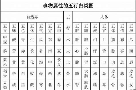 博 五行|博字的五行属性